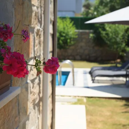 Villa Cesur 2 *