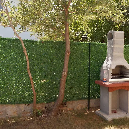 Cesur 2 * فتحية